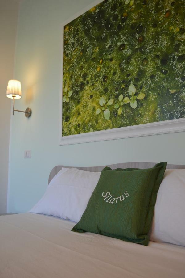 Silarus Bed and breakfast *